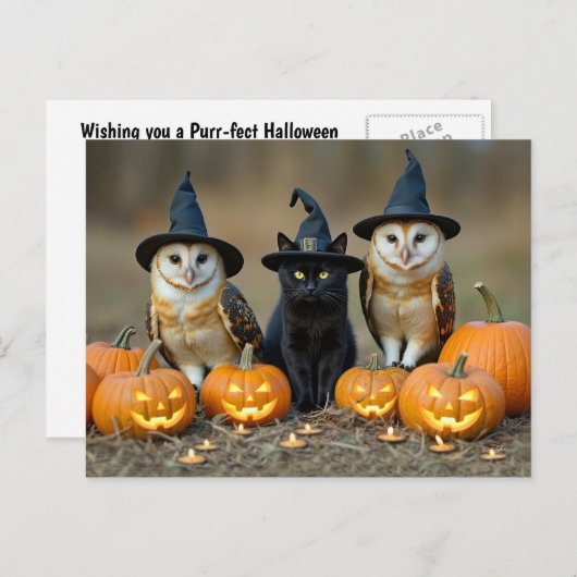 Halloween zwarte kat en uilen Schattige Feestdagenkaart (Voorkant / Achterkant)