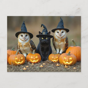 Halloween zwarte kat en uilen Schattige Feestdagenkaart