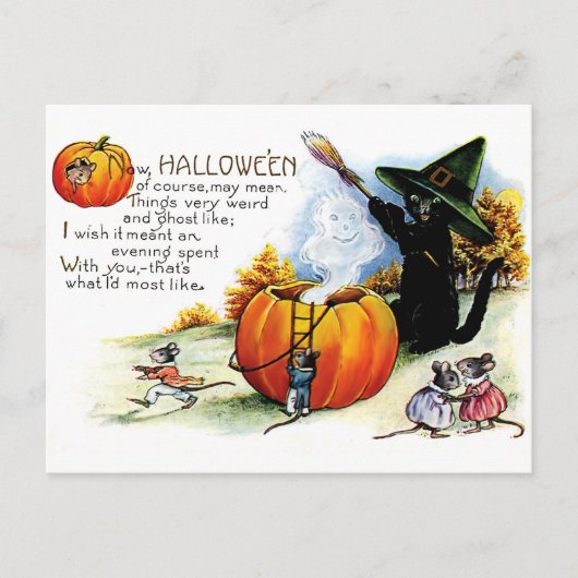 Halloween zwarte kat hekserij briefkaart (Voorkant)