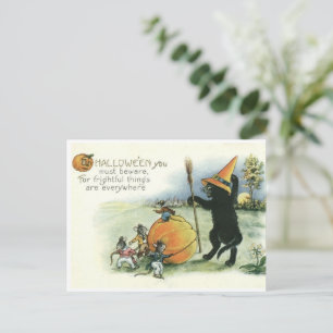 Halloween Zwarte Kat Kitten Muizen Muis Ansichtkaa Briefkaart