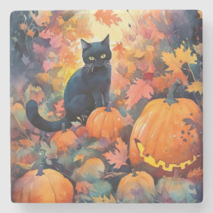 Halloween Zwarte Kat Met Pompoenen Griezelen Stenen Onderzetter