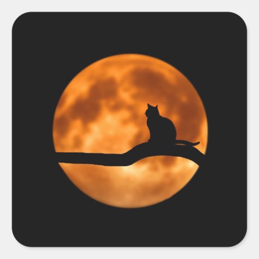 Halloween Zwarte Kat Sinaasappel Oogst Maan Sticke Vierkante Sticker (Voorkant)