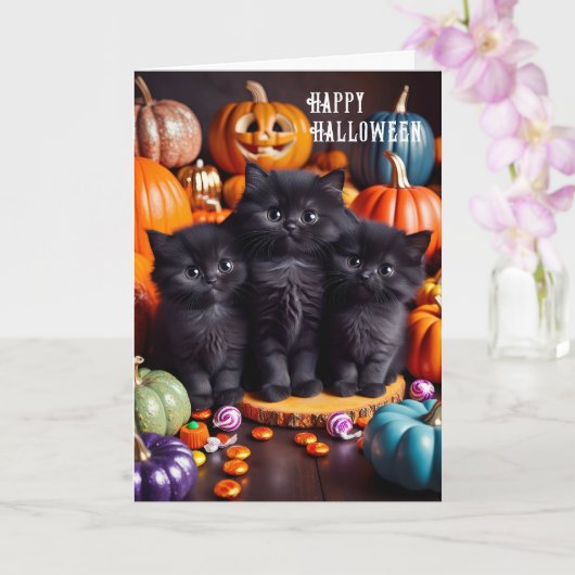 Halloween zwarte katten met pompoenen en Snoep Kaart (Orchidee)