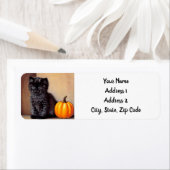 Halloween Zwarte Kitten Illustratie Etiket (Insitu)