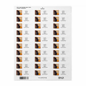 Halloween Zwarte Kitten Illustratie Etiket (Full Sheet)
