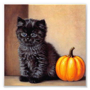  Halloween Zwarte Kitten Illustratie Foto Afdruk