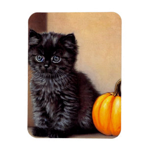  Halloween Zwarte Kitten Illustratie Magneet