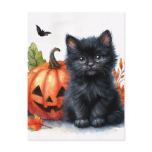 Halloween zwarte kitten met Jack-o-lantern