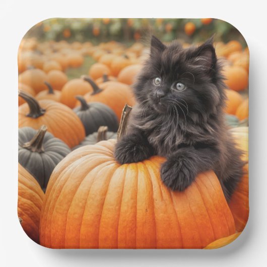 Halloween zwarte kitten op een pompoen papieren bordje (Voorkant)