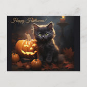 Halloween Zwarte Kitty Kat, Jack o Lantern Pompoen Briefkaart (Voorkant)