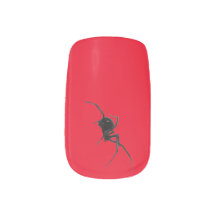 Halloween zwarte weduwe spin op rode achtergrond