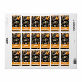 Halloweenheks met pompoenen etiket