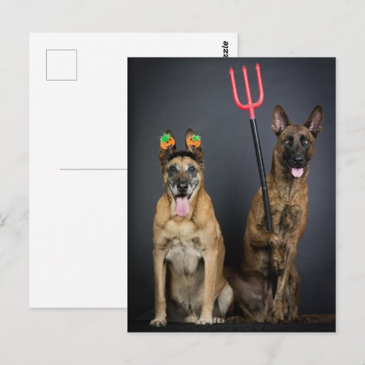 Halloweenhonden Briefkaart (Voorkant / Achterkant)