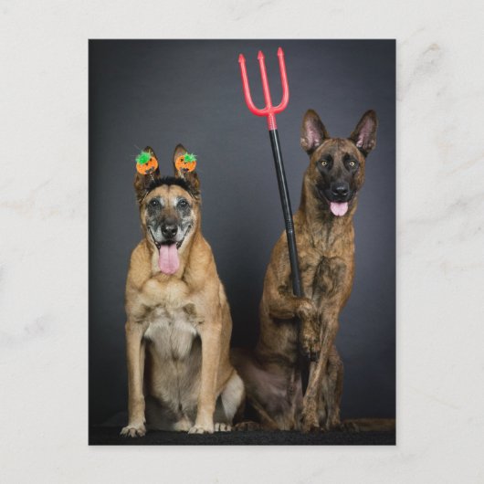 Halloweenhonden Briefkaart (Voorkant)