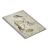 Hall's (1831) astronomische kaart gans notitieboek (Rechterzijde)