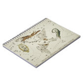 Hall's (1831) astronomische kaart gans notitieboek (Linkerzijde)