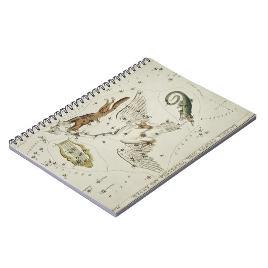 Hall's (1831) astronomische kaart gans notitieboek (Linkerzijde)