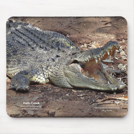 Halls Creek Croc Muismat (Voorkant)