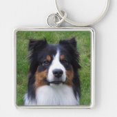 HALO de Aussie Dog Sleutelhanger (Voorkant)
