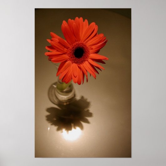 Halo & Silhouette Daisy Poster (Voorkant)