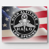 HALO-vleugels (High Altitude Low Opening) Fotoplaat (Voorkant)