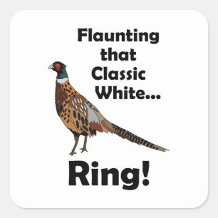 Halsbandfazant pronkt met witte ring Verjaardag Vierkante Sticker