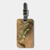 Halsbandhagedis Bagagelabel (Voorkant verticaal)