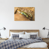 Halsbandhagedis Canvas Afdruk (Insitu (Slaapkamer))
