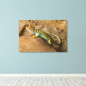 Halsbandhagedis Canvas Afdruk (Insitu (Houten vloer))