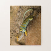 Halsbandhagedis Legpuzzel (Verticaal)