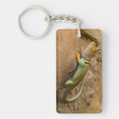 Halsbandhagedis Sleutelhanger (Voorkant)