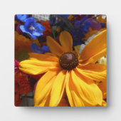 Halse Fotoplaat (Voorkant)