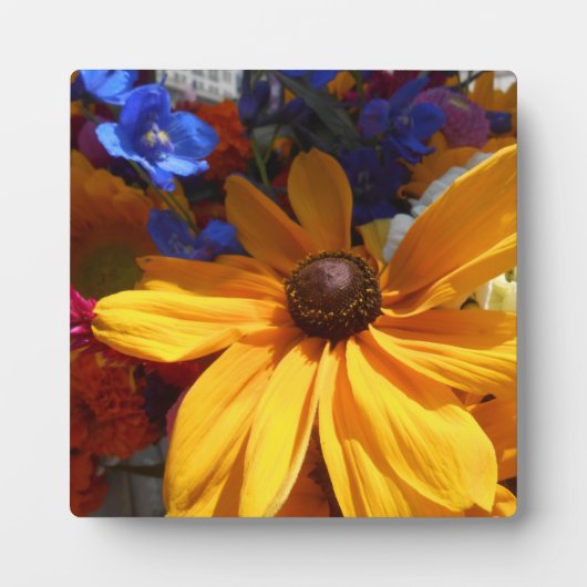 Halse Fotoplaat (Voorkant)