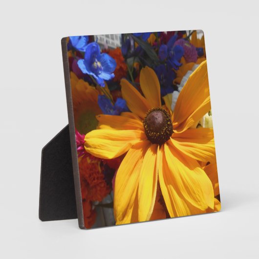 Halse Fotoplaat (Voorkant)