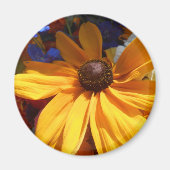 Halse Magneet (Voorkant)