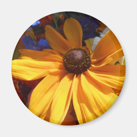 Halse Magneet (Voorkant)