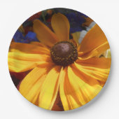 Halse Papieren Bordje (Voorkant)