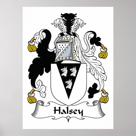 Halsey Family Crest Poster (Voorkant)
