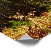 Halve Dome in het najaar - Nationaal Park Yosemite Poster (Hoek)