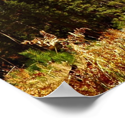 Halve Dome in het najaar - Nationaal Park Yosemite Poster (Hoek)