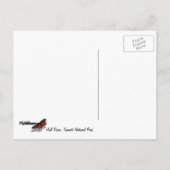 Halve Dome van de zijkant van het Nationaal Park Y Briefkaart (Achterkant)