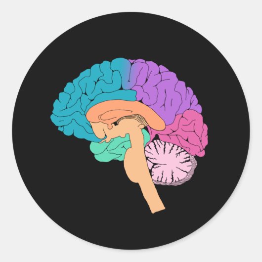 Halve Hersenen Science Sticker (Voorkant)