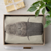 Halve schedel met bovenste geit  sepia tissuepapier (Geschenk)