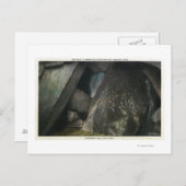 Halve verborgen Herfsten Uitzicht van het oordeel  Briefkaart (Voorkant / Achterkant)