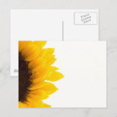 Halve zonnebloem briefkaart (Voorkant / Achterkant)