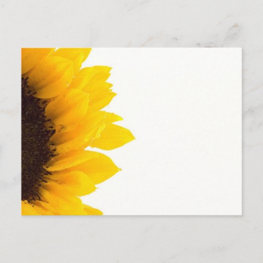 Halve zonnebloem briefkaart (Voorkant)