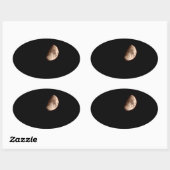 halvemaan ovale sticker (Vel)