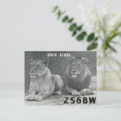 Ham Radio QSL Card South Africa Lions Briefkaart (Staand voorkant)