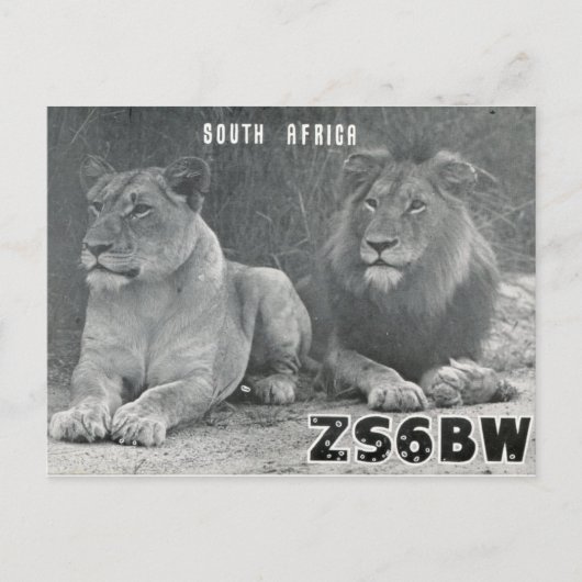 Ham Radio QSL Card South Africa Lions Briefkaart (Voorkant)