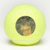 Ham Tennisballen (Voorkant)